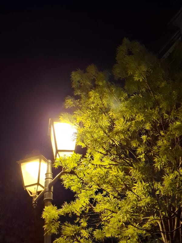 Evening street scenes documented across Novi Sad, Serbia