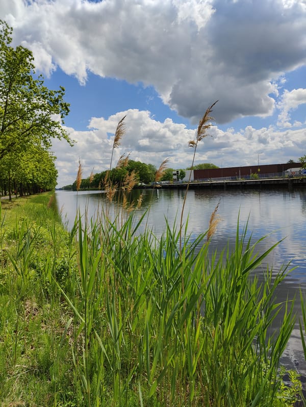 Canal scene documented in Oosterhout, Netherlands on bright spring day