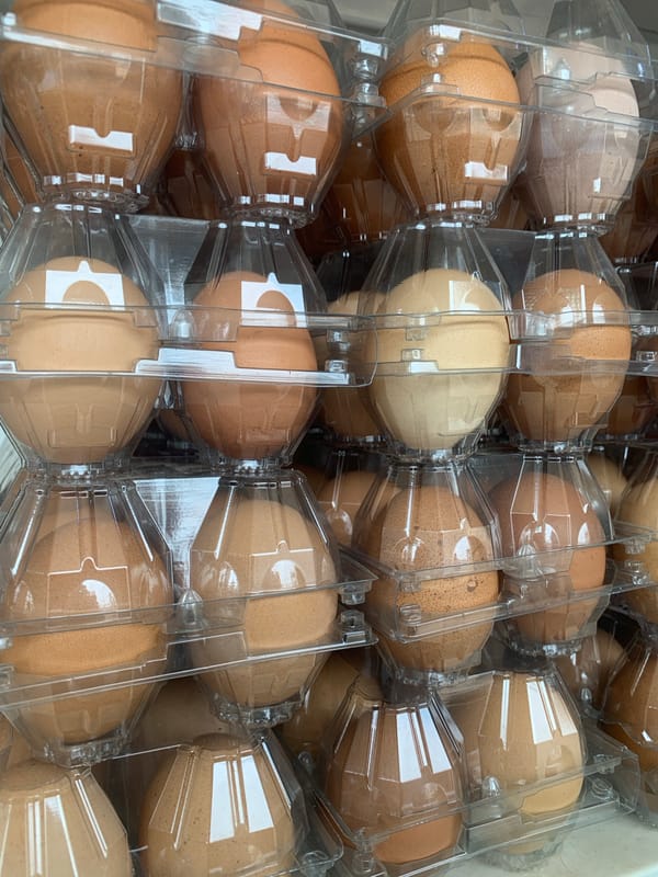 Everyday retail and food items documented across morning hours