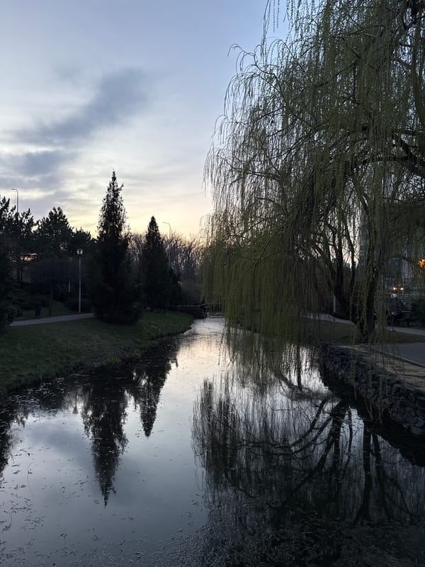 Park scenes documented by witnesses in Donetsk, Ukraine
