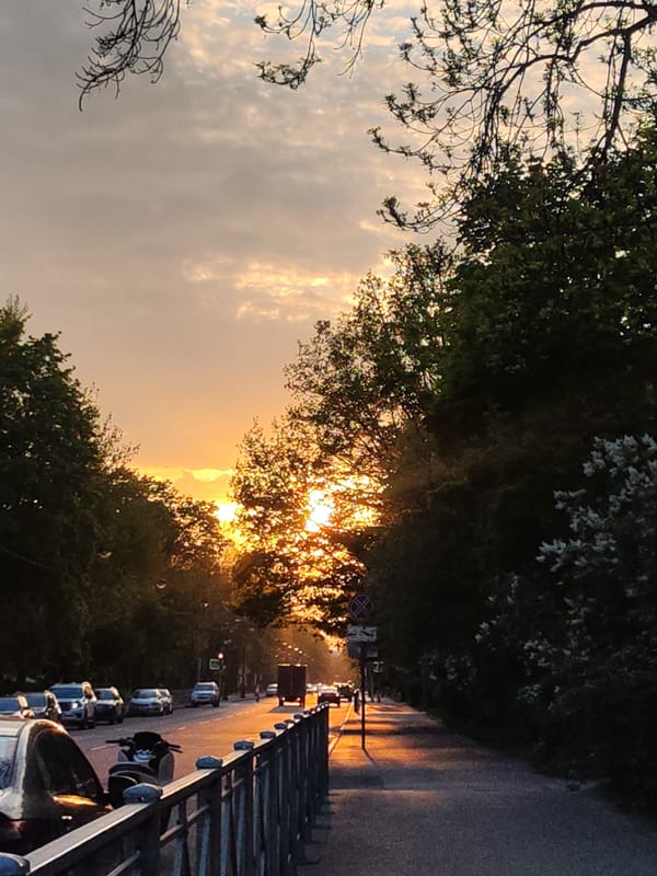 Spring sunset observed along tree-lined streets in Pushkin, Russia