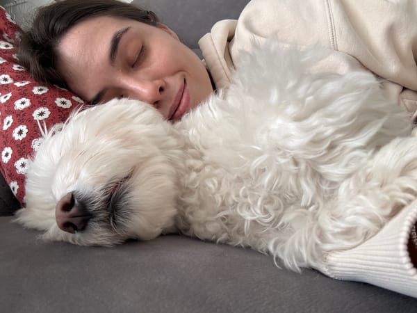 Person and white dog share afternoon nap in Bat Yam
