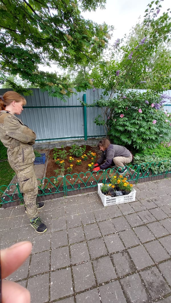 Garden planting and backyard poultry in Yelizovo, Russia