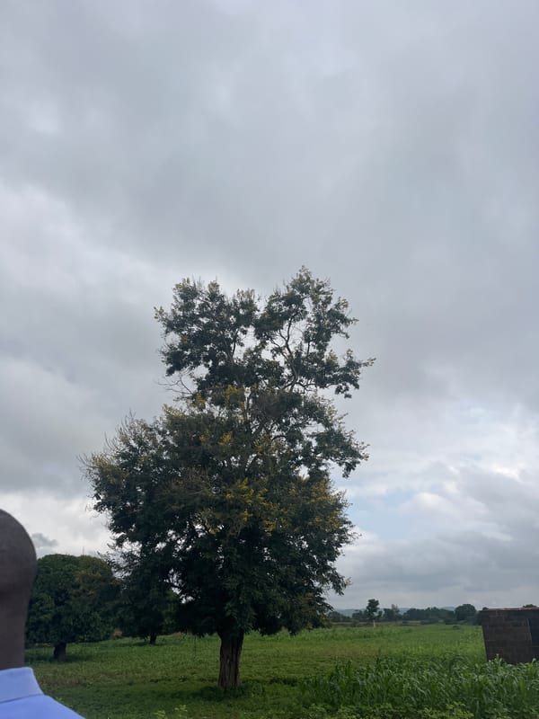 Morning scenes from rural and agricultural Jos, Nigeria