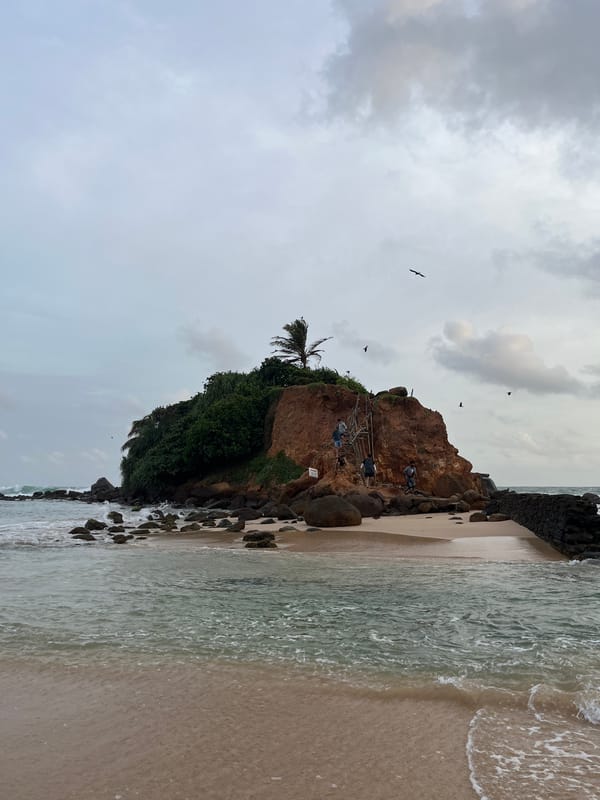 Rugged Sri Lankan beach with crows, a dog, and coastal rock formations