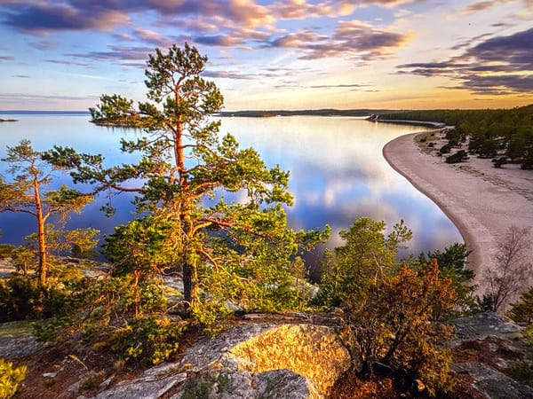 Nature photography session captures diverse Polish landscapes near Mława