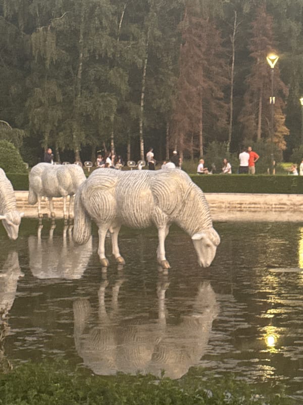 Sofia park at dusk: sculptures, a fountain, and live music
