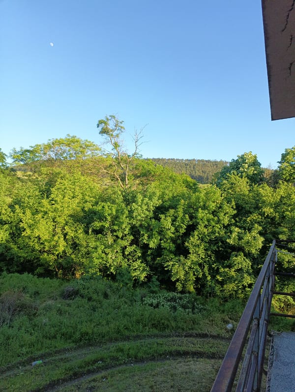 Afternoon balcony views captured in Karnobat, Bulgaria