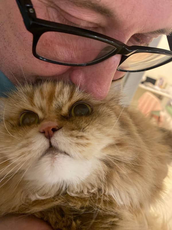 Cat owner takes selfies with fluffy pet in Kazan apartment