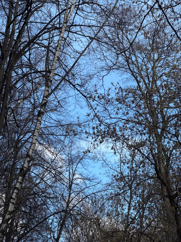 Moscow street scenes captured during afternoon pedestrian activity