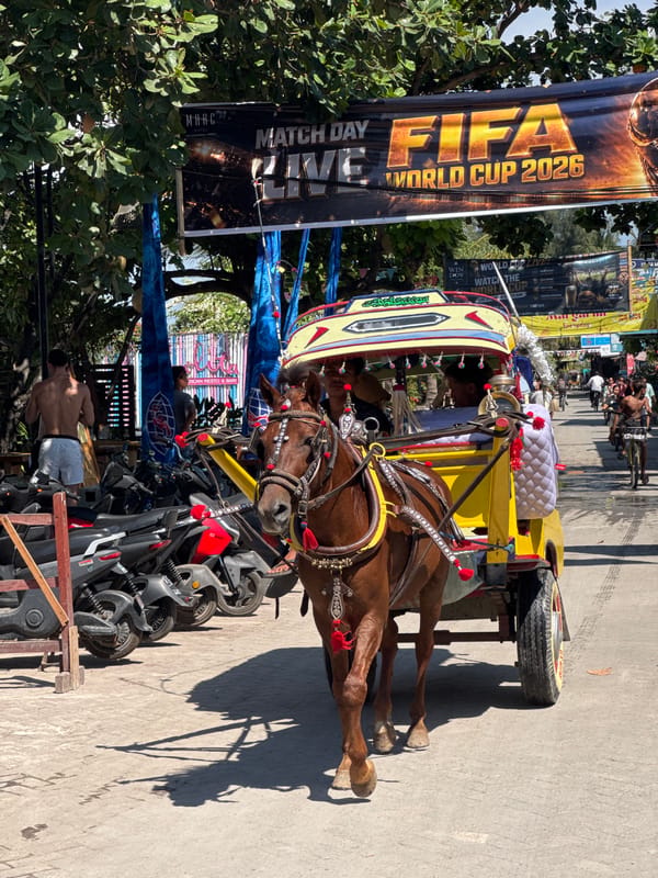 Horse-drawn carriages line the streets of Gili, Indonesia