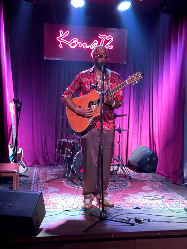 Musician performs acoustic set at Đà Nẵng venue