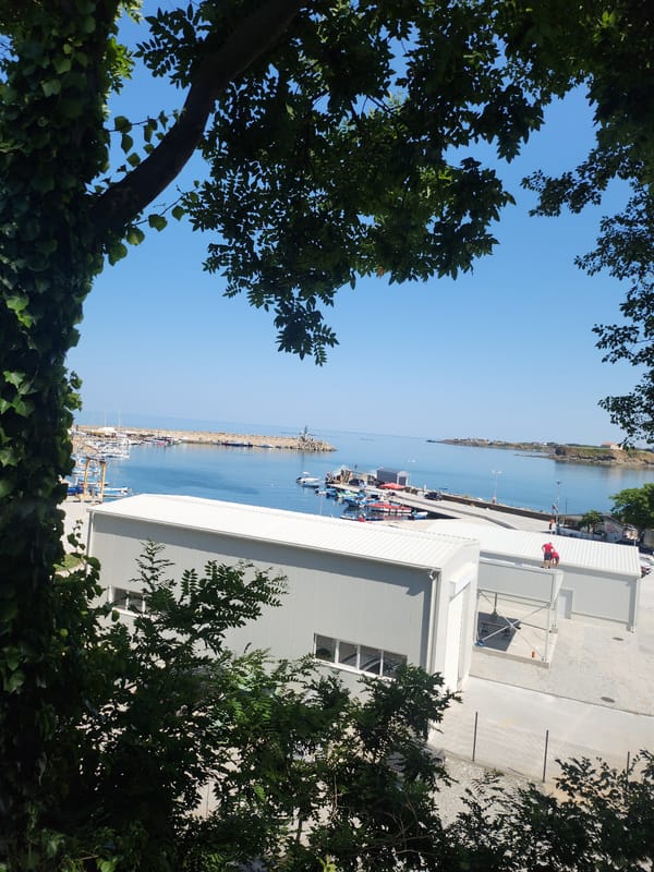Tsarevo marina on a sunny afternoon, framed by green trees