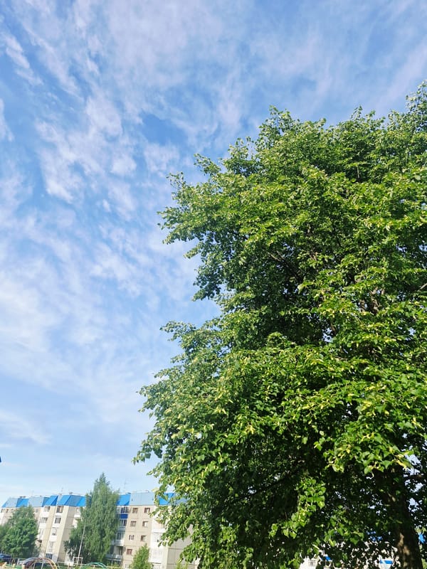 Quiet morning scenes documented in Markovskii residential district