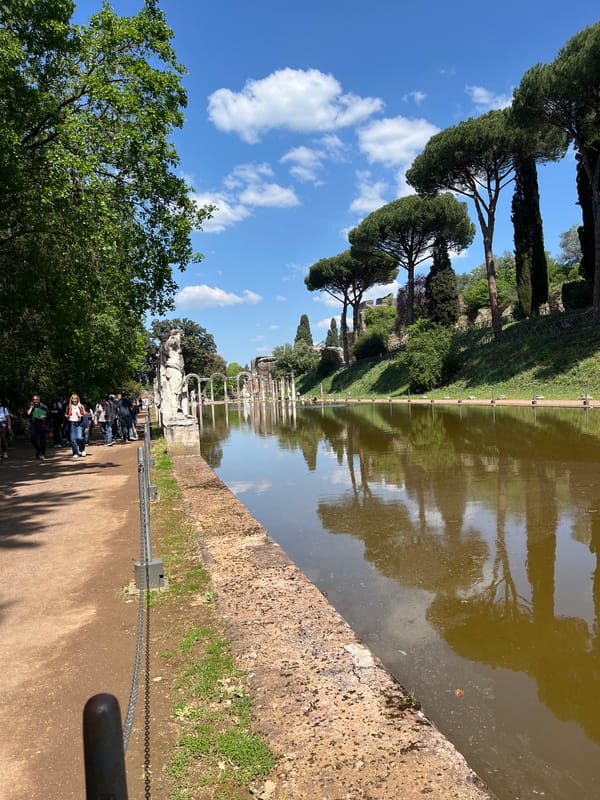 Fish spotted in ancient Roman pool at Villa Adriana
