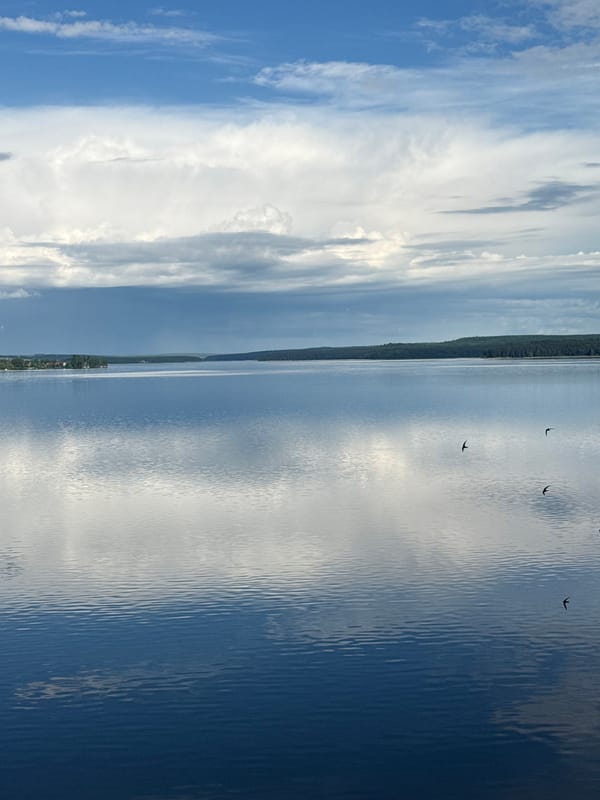 Peaceful morning scenes captured at Votkinsk Reservoir, Russia