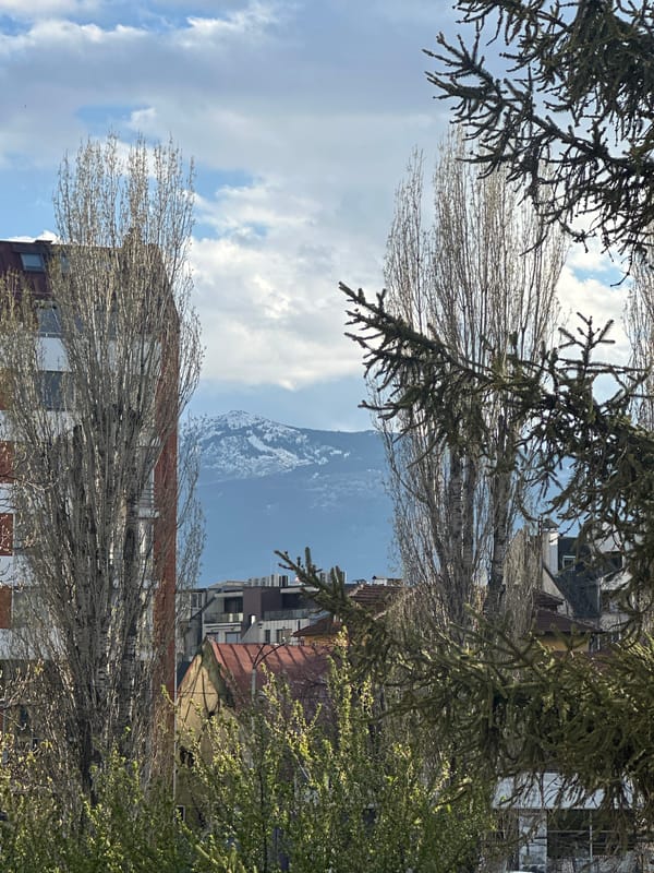 Urban landscape with mountains photographed through tree branches