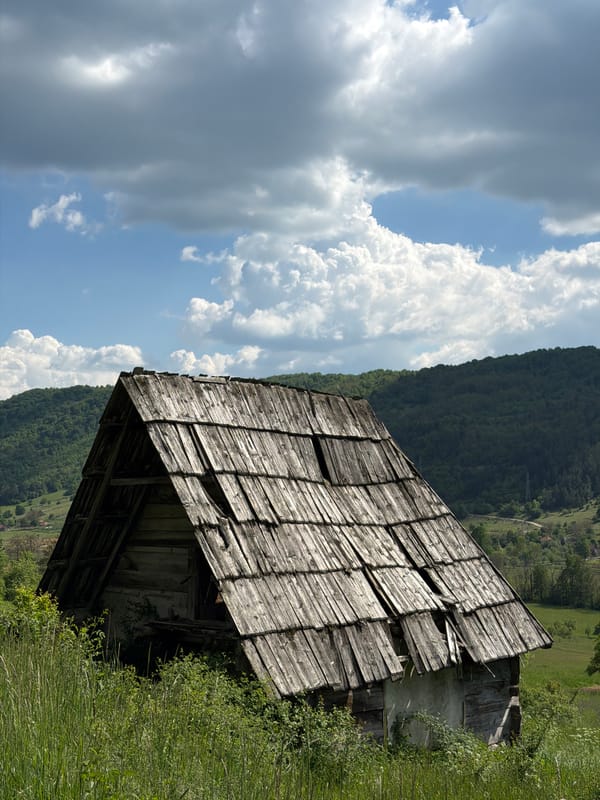 Rural Montenegro scenes captured: abandoned barn, grazing sheep