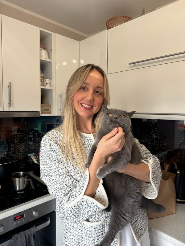Cat reaches for treat on windowsill in Riga