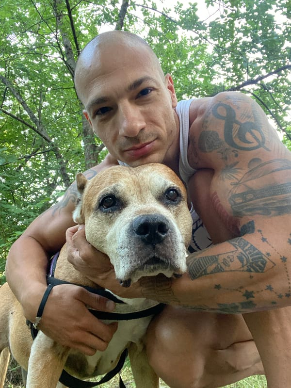 Person and dog share close moment in Pleven park