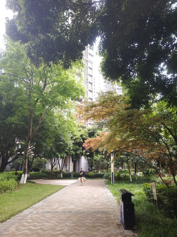 Artists paint landscapes in Chongqing High-tech Zone studios