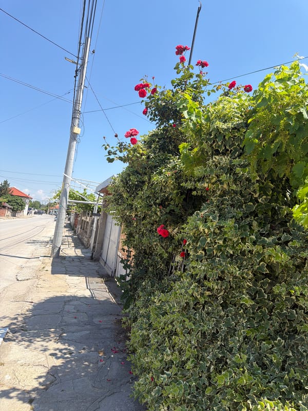 Morning stroll documented through sunny Zlatitrap park in Bulgaria