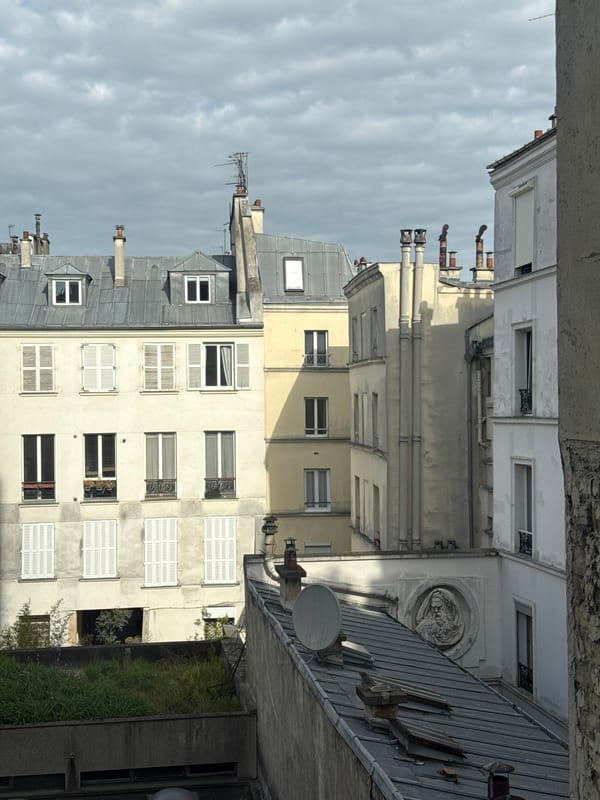 Witness captures upward view of Paris urban architecture