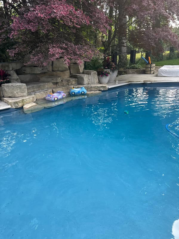 Richmond Hill backyard pool and garden, summer morning