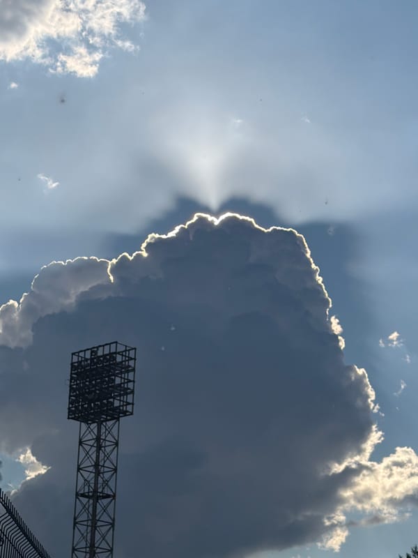 Afternoon documentation captures husky, barbecue, dramatic skies, urban nature