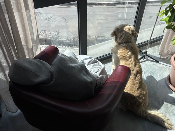 Mediterranean meal documented by witnesses in Yerevan, Armenia