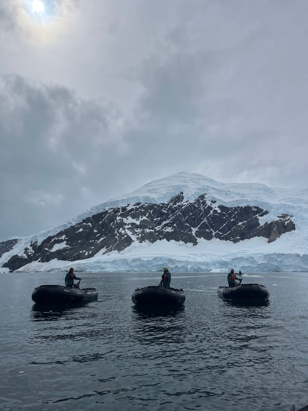 Antarctic expedition conducts zodiac operations near cruise ship