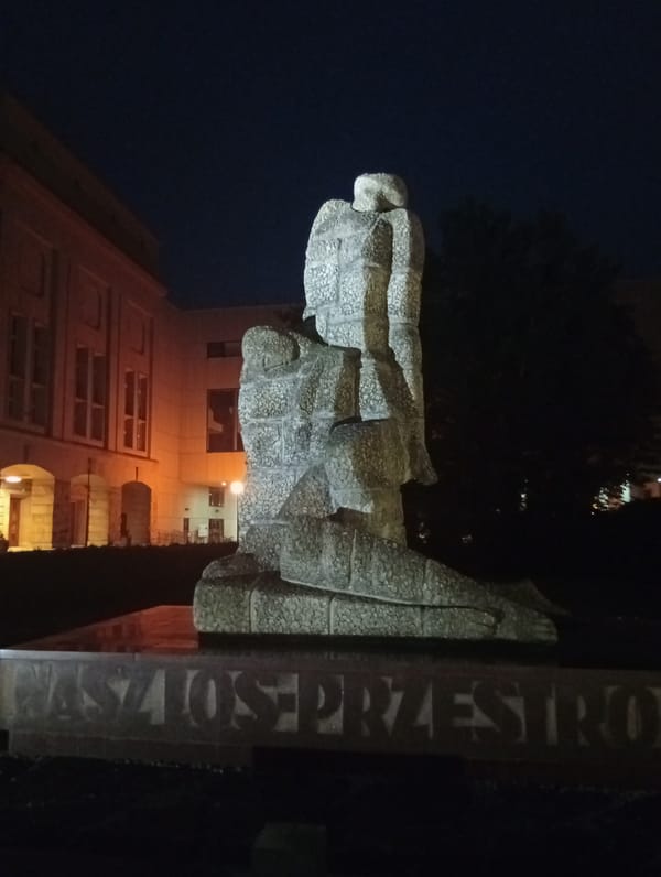Wrocław at night: monument, shopping street, and bridge