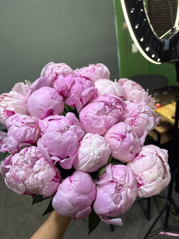 Pink peonies and red roses, close up in Moscow