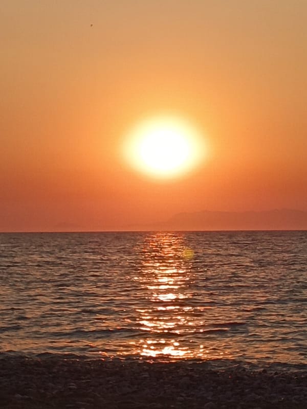 Sunset beach scenes and hooded crows on a quiet afternoon