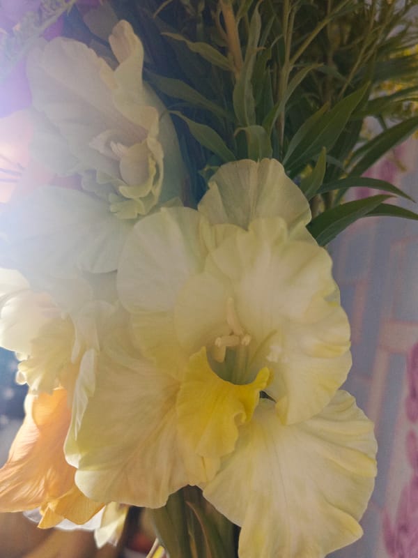 Close-up details of a colorful gladiolus bouquet