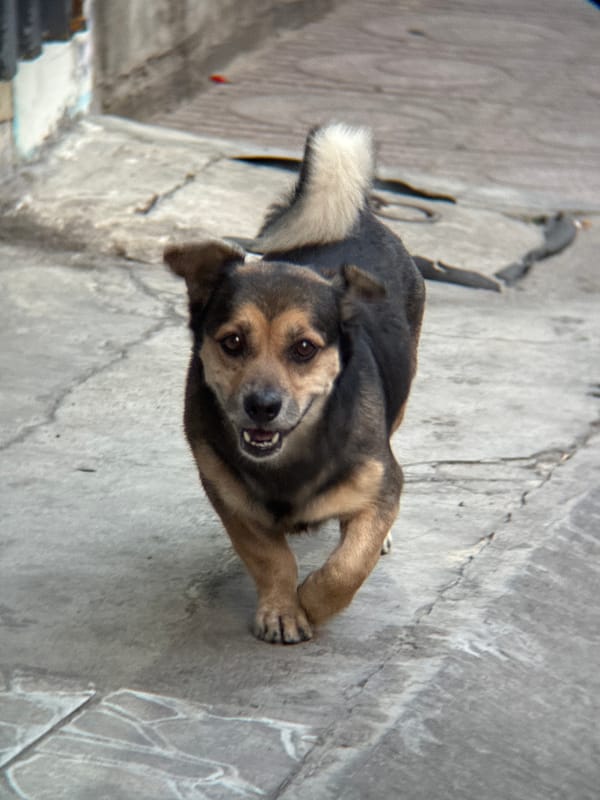 Nha Trang street life: motorbikes, vendors, and sidewalk moments