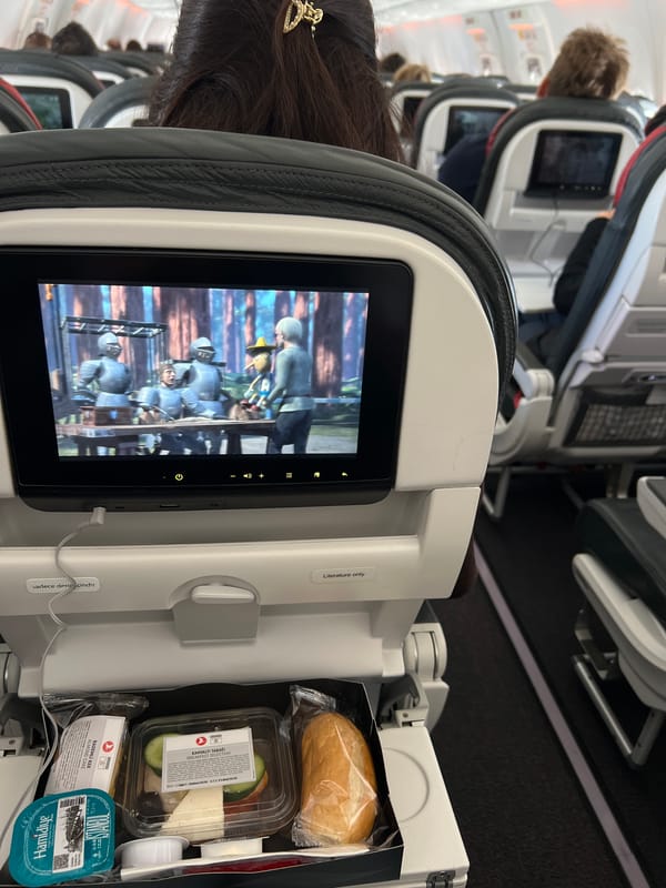 Passenger captures airplane cabin view during flight over Turkey