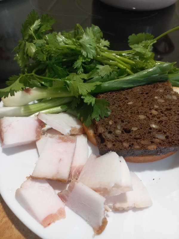 Traditional Ukrainian salo meal documented in Kyiv