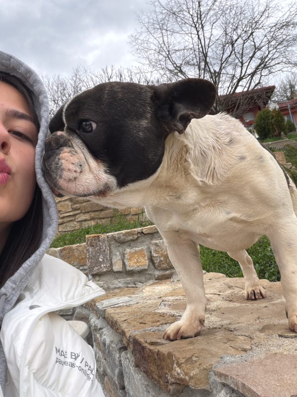 Woman plays with French Bulldog on stone wall in Bulgarian village