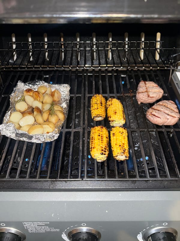 Evening barbecue session observed in Cape Town backyard
