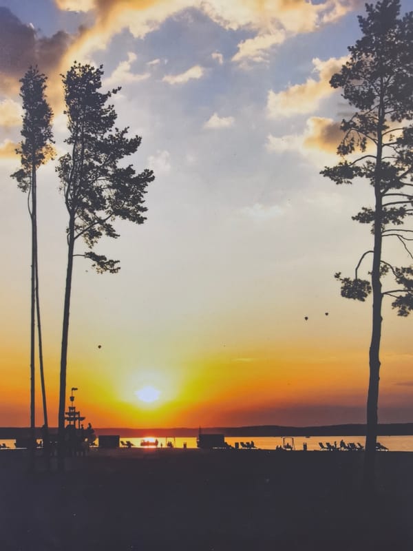 Minsk scenes: waterfront, streets, wildlife, and skyline