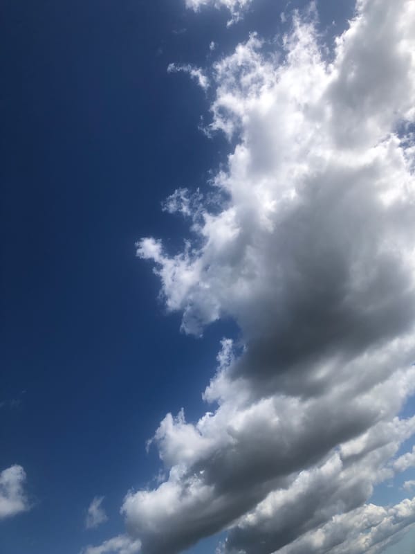 Cats and cloudwatching from a high-rise apartment on a dramatic morning