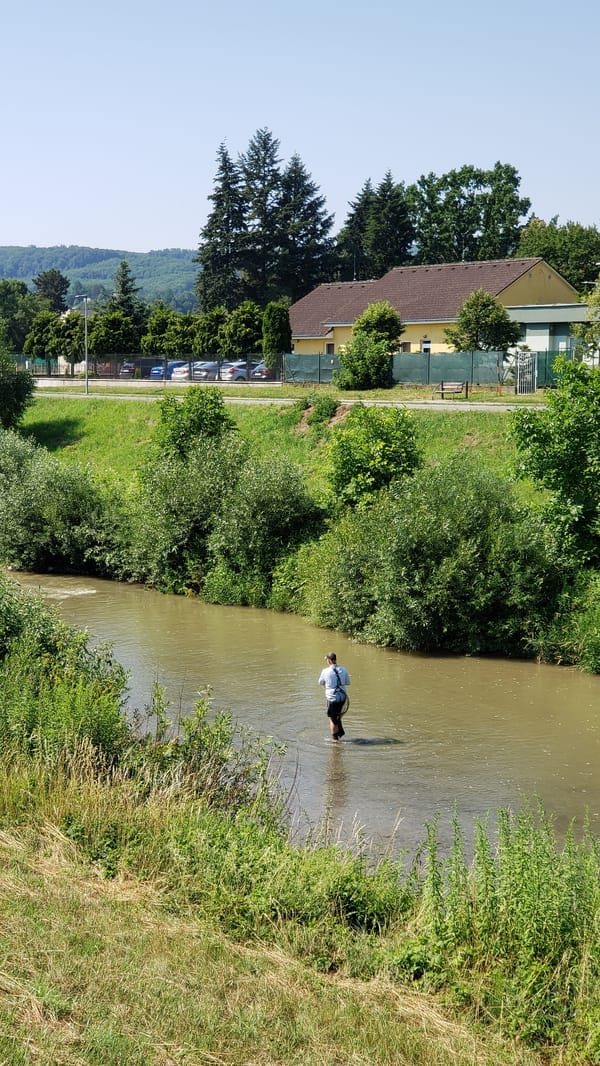 Fly fishing the Sekčov River, Prešov, on a summer morning