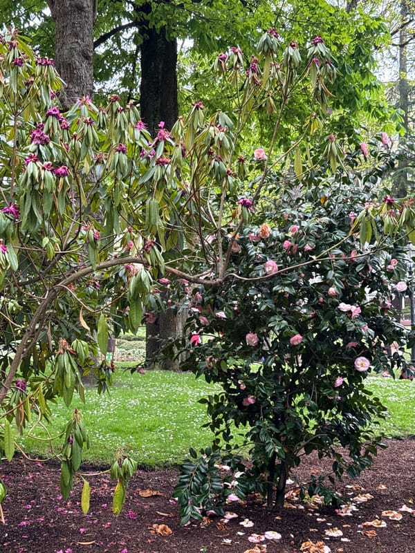 Tourist documents brief walking tour of central Oviedo landmarks