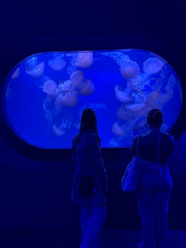 Visitor explores marine exhibits at Valencia aquarium