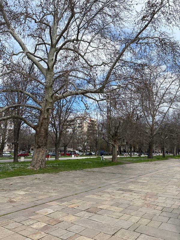 Baking and casual stroll documented in Plovdiv, Bulgaria
