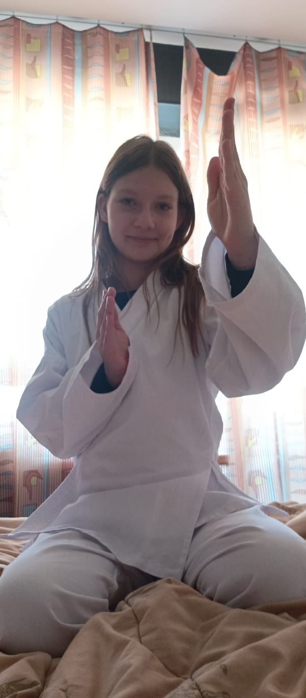 Martial arts practice session with cat companion documented