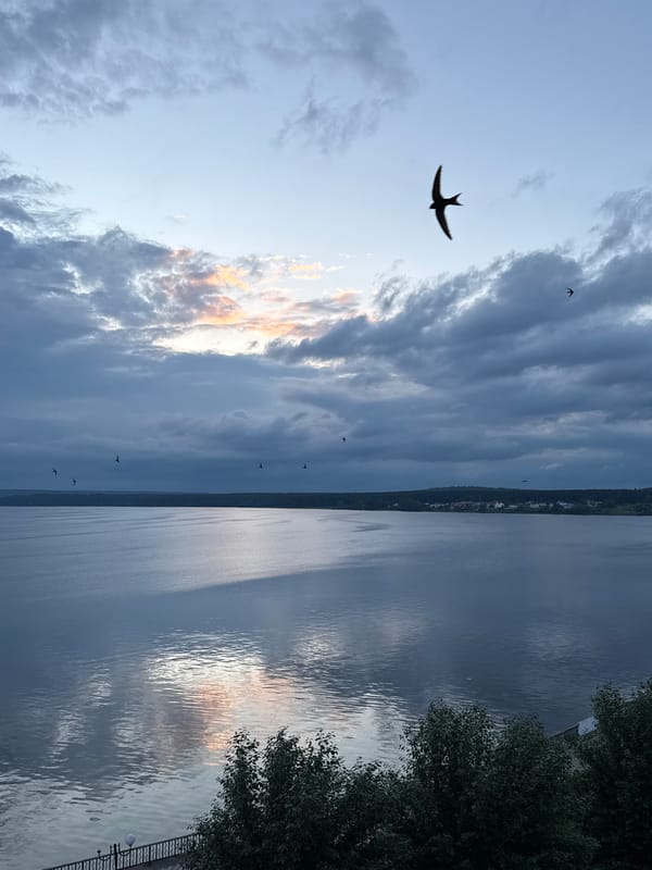 Dusk settles over the Votkinsk Reservoir, crescent moon rising
