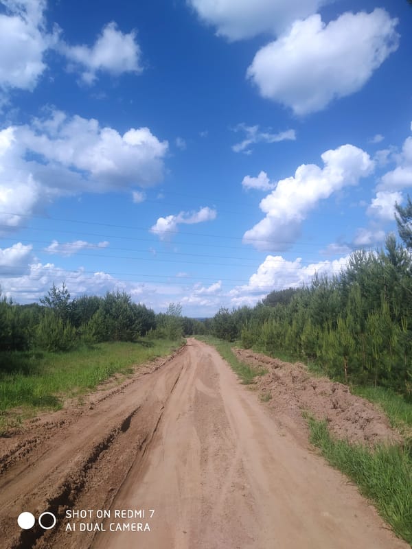 Rural Chaikovsky landscapes with lupine flowers and power lines documented