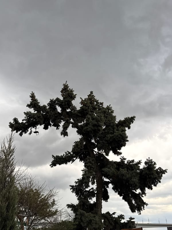Everyday moments captured in Rostov-on-Don during overcast afternoon